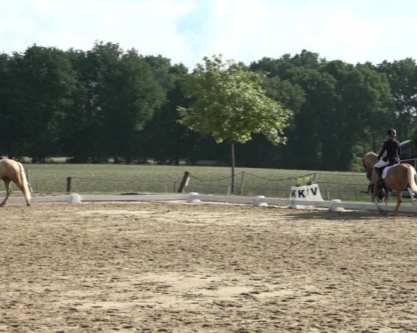 Reitturnier Wohlesbostel 2021