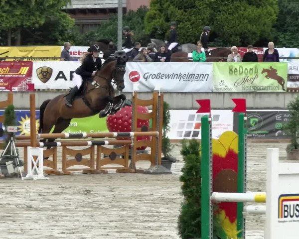 Reitturnier Melle-Ostenfelde 2021