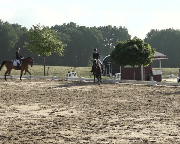 Reitturnier Wohlesbostel 2021
