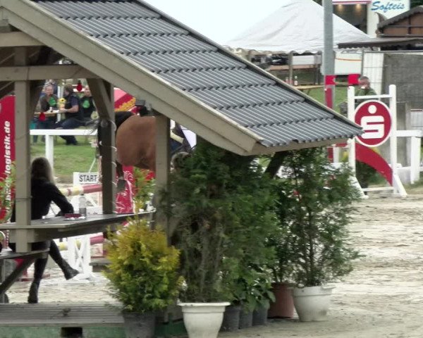 Reitturnier Melle-Ostenfelde 2021
