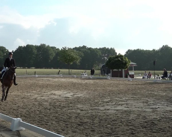 Reitturnier Wohlesbostel 2021