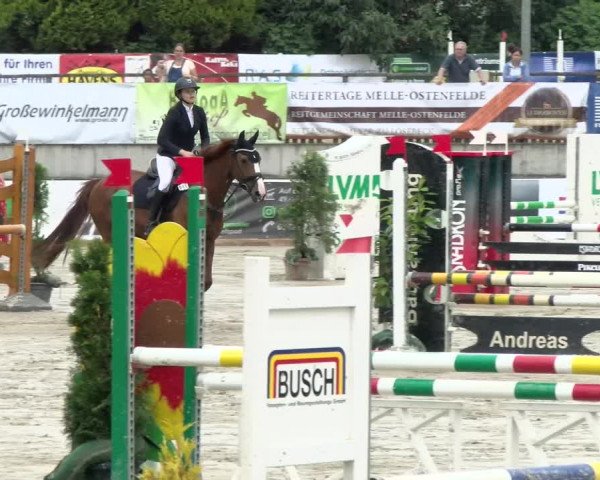 Reitturnier Melle-Ostenfelde 2021