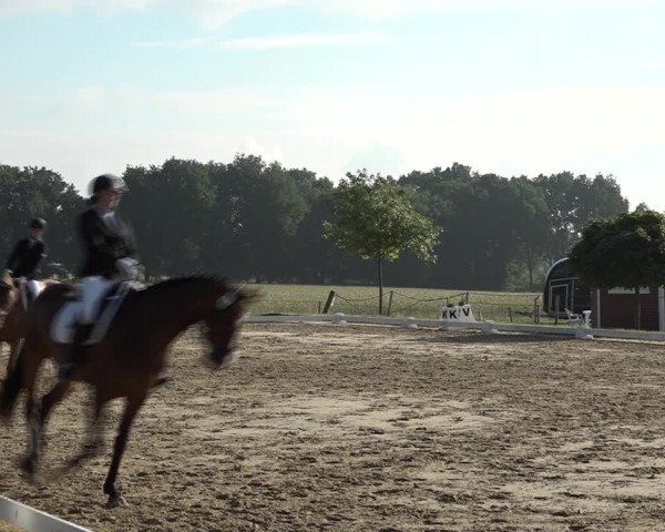 Reitturnier Wohlesbostel 2021