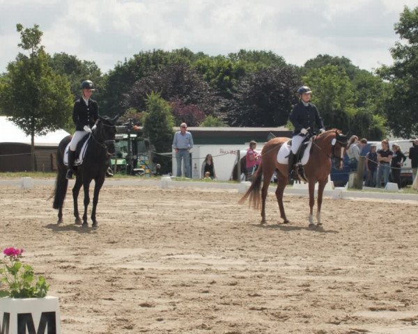 Reitturnier Wohlesbostel 2021