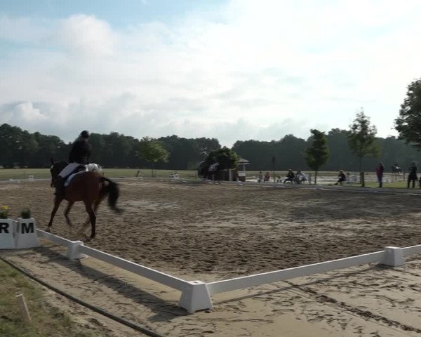 Reitturnier Wohlesbostel 2021