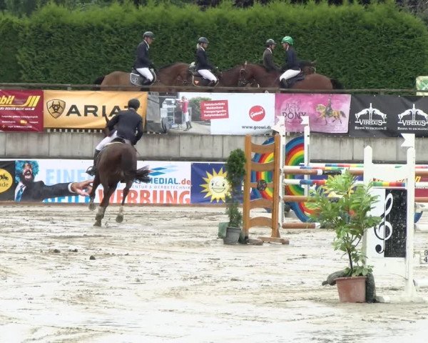 Reitturnier Melle-Ostenfelde 2021