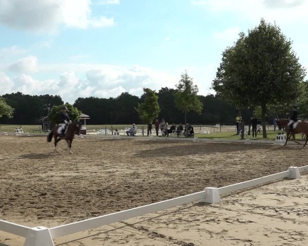 Reitturnier Wohlesbostel 2021