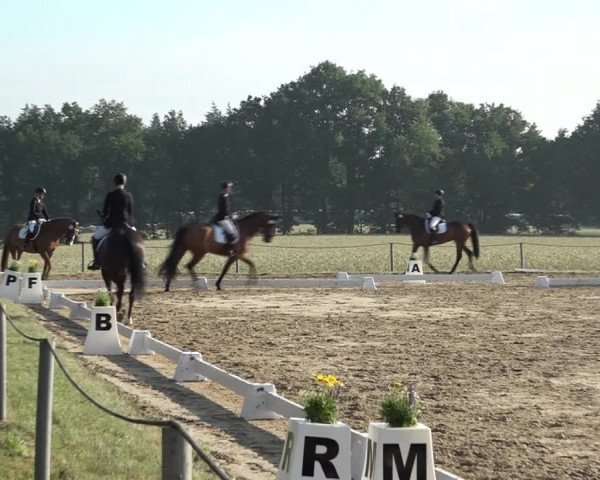 Reitturnier Wohlesbostel 2021