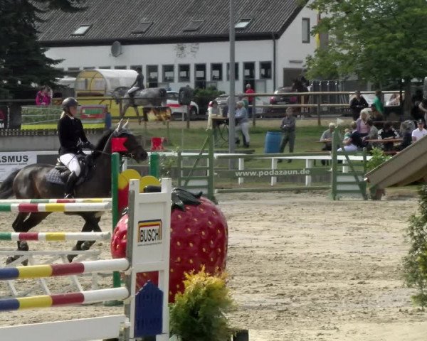 Reitturnier Melle-Ostenfelde 2021
