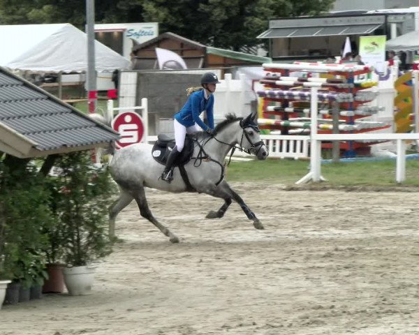 Reitturnier Melle-Ostenfelde 2021