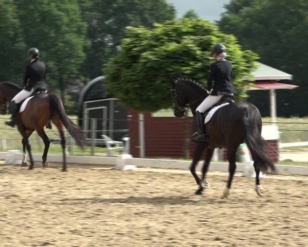 Reitturnier Wohlesbostel 2021