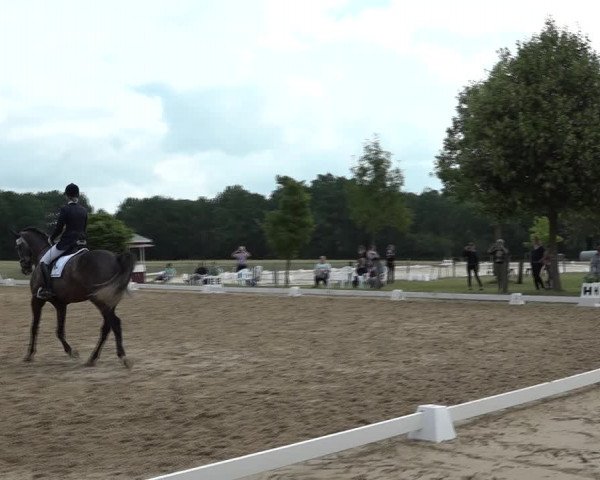 Reitturnier Wohlesbostel 2021