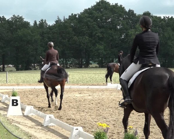 Reitturnier Wohlesbostel 2021