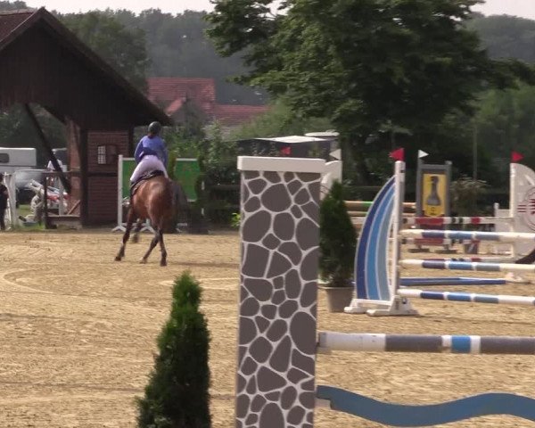 Reitturnier Münster-Nienberge 2021