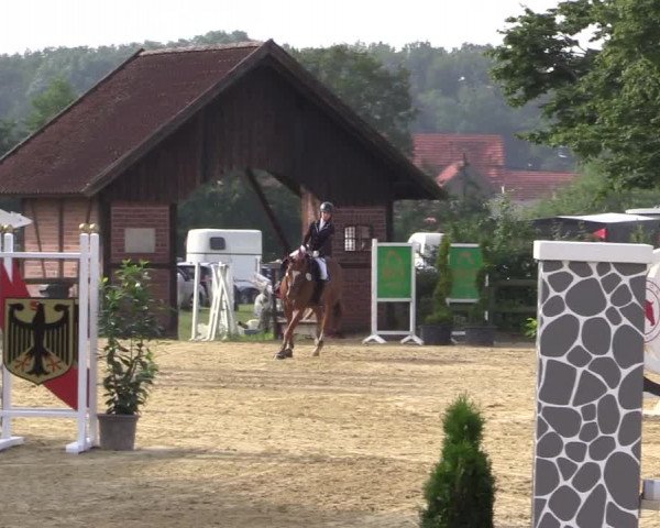 Reitturnier Münster-Nienberge 2021