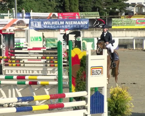 Reitturnier Melle-Ostenfelde 2021