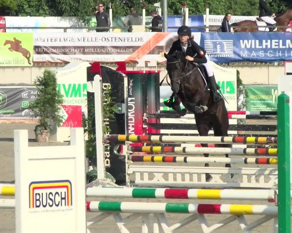 Reitturnier Melle-Ostenfelde 2021
