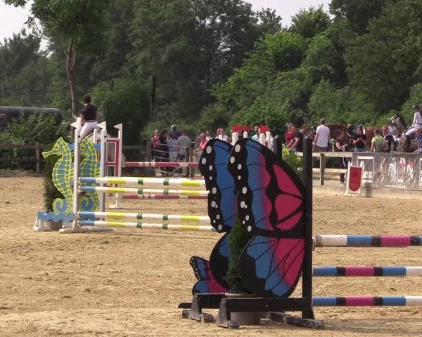Reitturnier Münster-Nienberge 2021