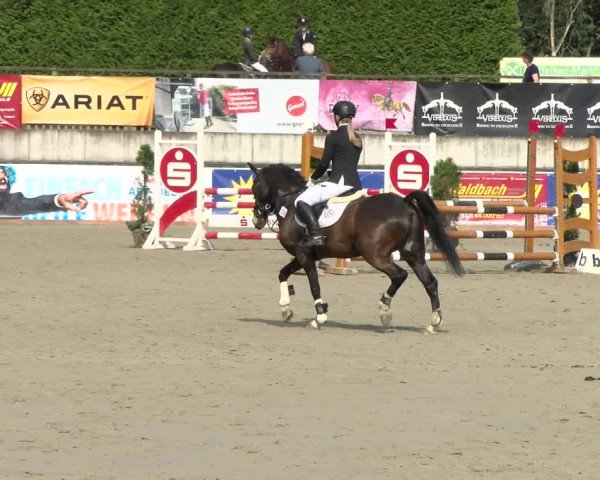 Reitturnier Melle-Ostenfelde 2021