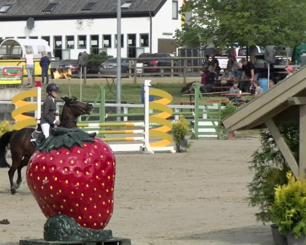 Reitturnier Melle-Ostenfelde 2021