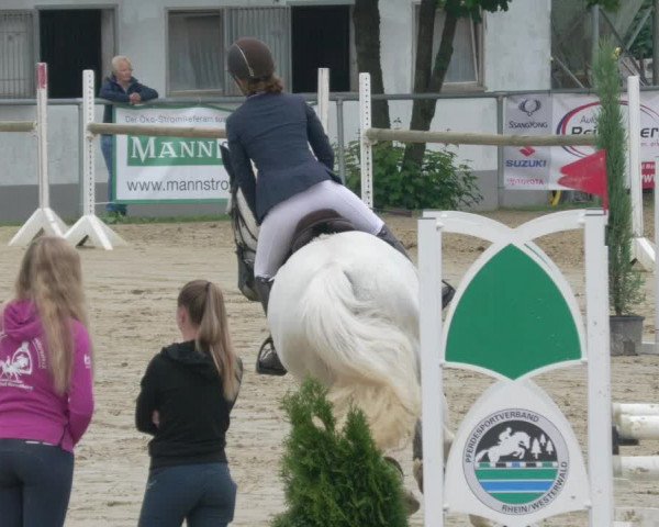 Reitturnier Bad Marienberg - OT Nisterau 2021 - Oberwesterwald
