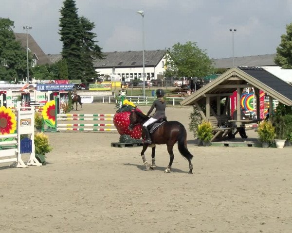 Reitturnier Melle-Ostenfelde 2021