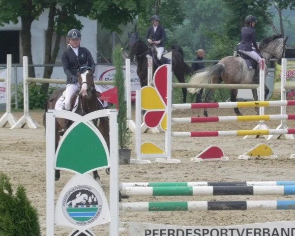 Reitturnier Bad Marienberg - OT Nisterau 2021 - Oberwesterwald