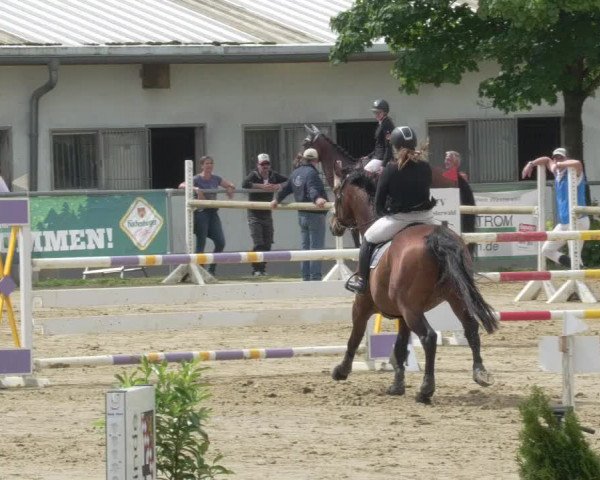 Reitturnier Bad Marienberg - OT Nisterau 2021 - Oberwesterwald