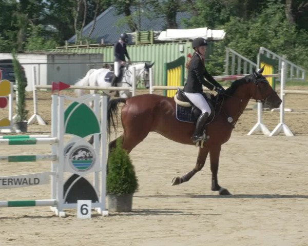 Reitturnier Bad Marienberg - OT Nisterau 2021 - Oberwesterwald