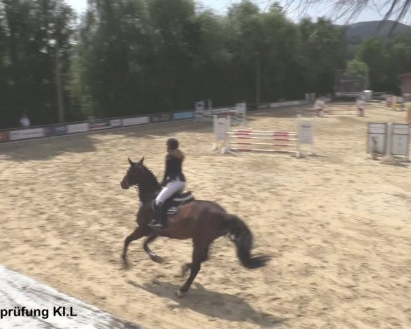Reitturnier Uder, Reitanlage Kobold 2021