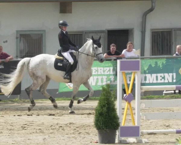 Reitturnier Bad Marienberg - OT Nisterau 2021 - Oberwesterwald