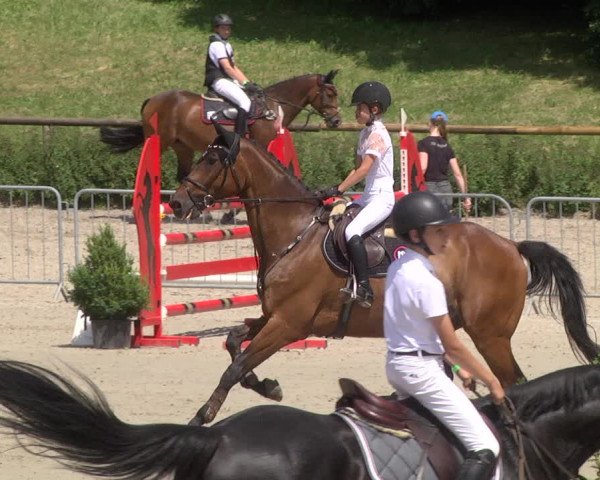 Reitturnier Tübingen 2021