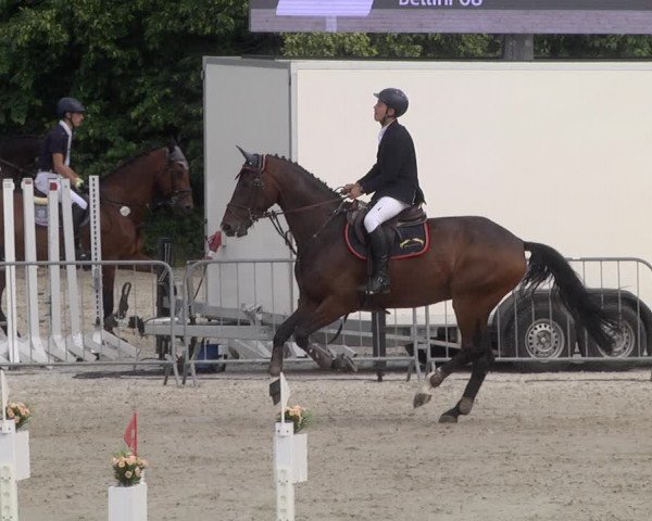 Reitturnier Tübingen 2021