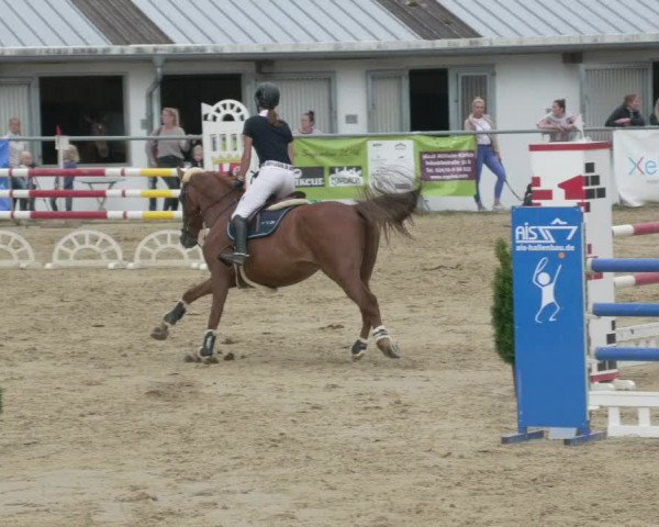 Reitturnier Bad Marienberg - OT Nisterau 2021 - Oberwesterwald
