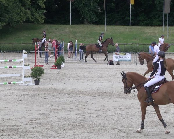 Reitturnier Tübingen 2021