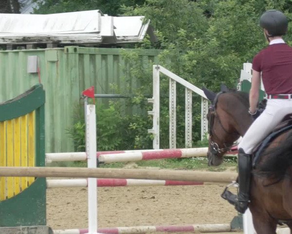 Reitturnier Bad Marienberg - OT Nisterau 2021 - Oberwesterwald