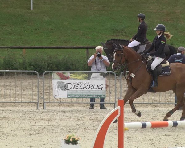 Reitturnier Tübingen 2021