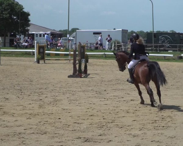 Reitturnier Kaarst-Holzbüttgen - Pannenbeckerhof 2021