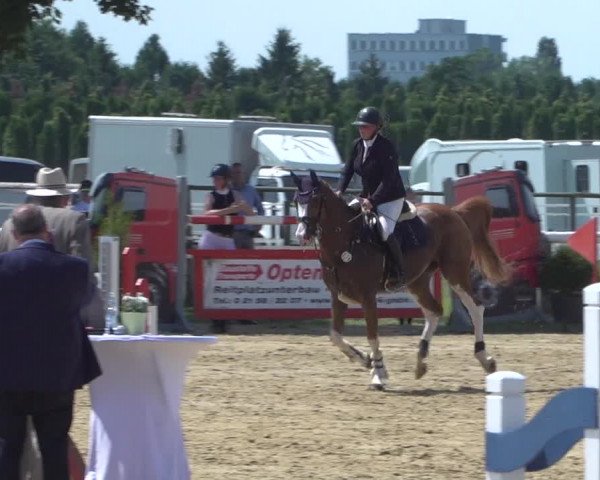 Reitturnier Kaarst-Holzbüttgen - Pannenbeckerhof 2021