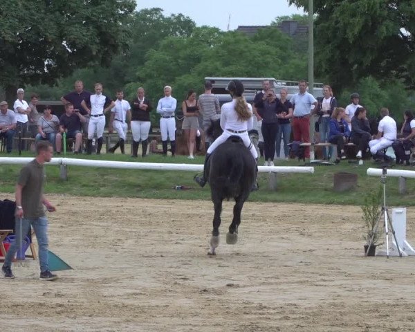 Reitturnier Kaarst-Holzbüttgen - Pannenbeckerhof 2021