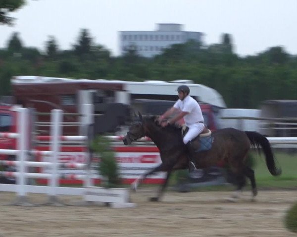 Reitturnier Kaarst-Holzbüttgen - Pannenbeckerhof 2021