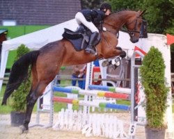 broodmare Sodona D Or Be (Westphalian, 2009, from Sergio Rossi)