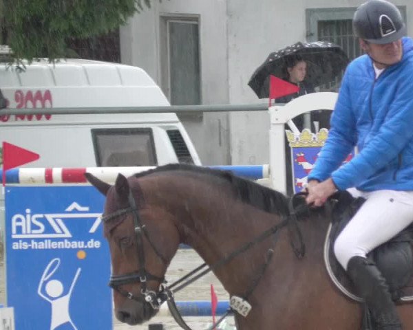 Reitturnier Bad Marienberg - OT Nisterau 2021 - Oberwesterwald