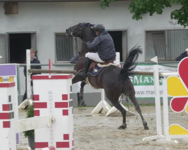 Reitturnier Bad Marienberg - OT Nisterau 2021 - Oberwesterwald