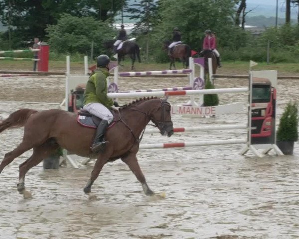 Reitturnier Bad Marienberg - OT Nisterau 2021 - Oberwesterwald