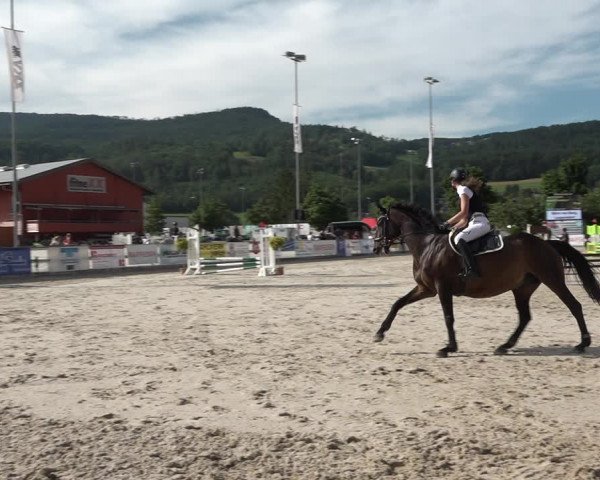 Reitturnier Balsthal 2021
