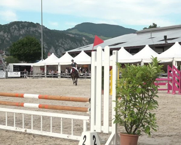 Reitturnier Balsthal 2021