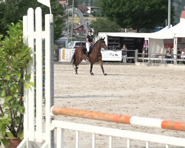 Reitturnier Balsthal 2021