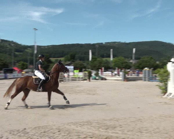 Reitturnier Balsthal 2021
