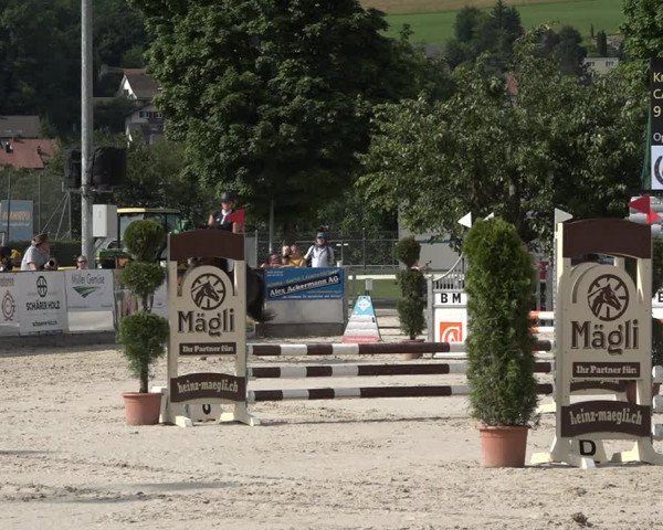 Reitturnier Balsthal 2021